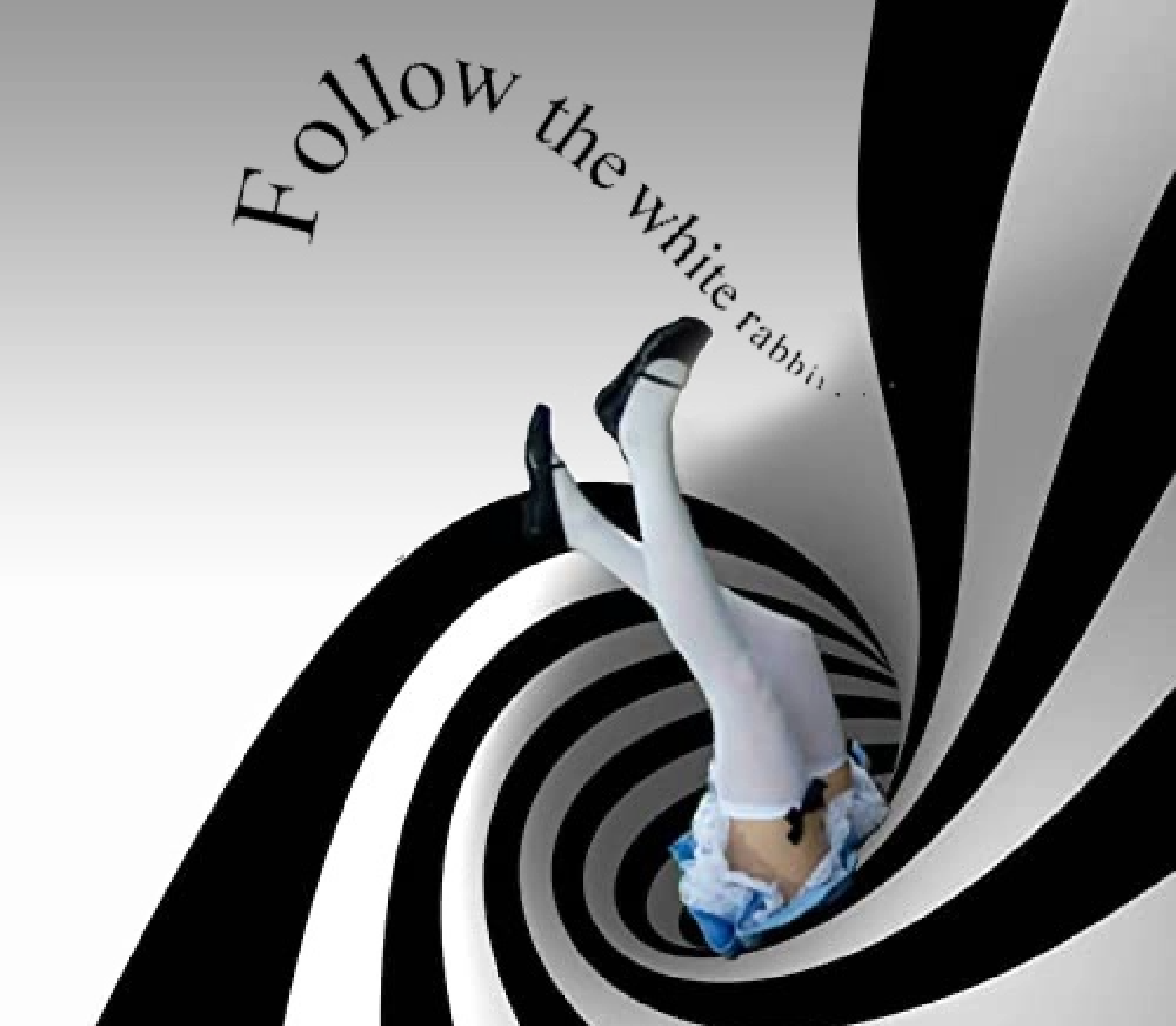 follow-the-white-rabbit